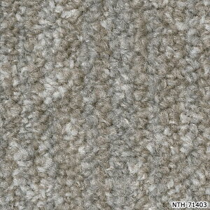 �^�C���J�[�y�b�g ���{�� �h�� �h�� ���d �p�l���J�[�y�b�g ��50×50cm 20������ �C���~�i�A�[�X D NTH-7140 D-eco (R) ILLUMINA EARTH ���K�i �h�� ���� DIY �͗l�ւ� �����z�� �V���� ���������}���\��