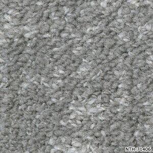 �^�C���J�[�y�b�g ���{�� �h�� �h�� ���d �p�l���J�[�y�b�g ��50×50cm 20������ �C���~�i�A�[�X D NTH-7140 D-eco (R) ILLUMINA EARTH ���K�i �h�� ���� DIY �͗l�ւ� �����z�� �V����