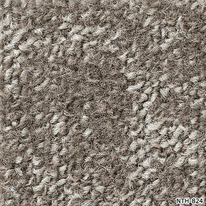 �^�C���J�[�y�b�g ���{�� �h�� �h�� ���d �p�l���J�[�y�b�g �t�@�C�o�[�G�R ��50×50cm 20������ �O���[���X F/�O���[���X�O���X F/�O���[���X�o�[�~�[ F NTH-820 F-eco (R) GRORASS GRASS ���T�C�N������