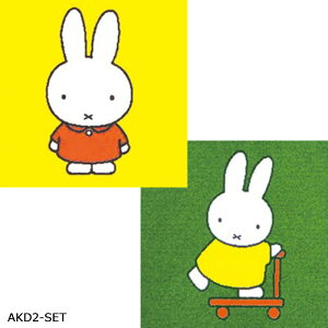 􂦂  ^CJ[ybg (R) 40×40cm LN^[V[Y { ʋz fBbNEu[i plJ[ybg 2Zbg AKD |Cg10{ z V