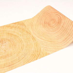 ǎV[g \Ă͂ }XLOe[v t[X CNV[g e[v ǎ V[  IV CeAp e[v k L DIY tH[ J  FLEECE 230mm