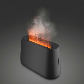 Stadler Form スタドラフォーム Ben 焚火みたいなアロマ加湿器 北欧デザイン 家電 超音波式
