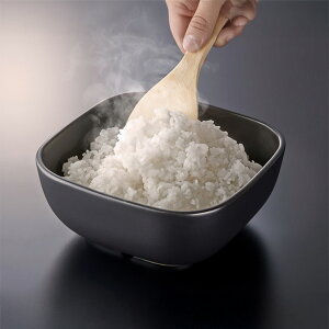 HARIO ъ̂Ђ ͂̕ۑe 2p ϔM l炵 dqWOK V nI GO-2-B-W