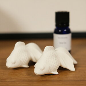 motifo A}Xg[   2 Mtg 蕨ɂ { V 