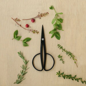 ElRpNgȉ|͂ nT~ ѐ@HARVESTER {