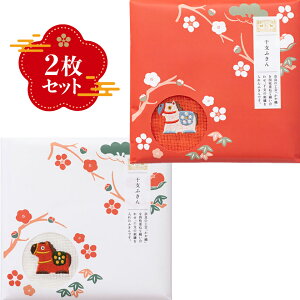 쐭X xӂ  y g2Zbg z  2026  N N A