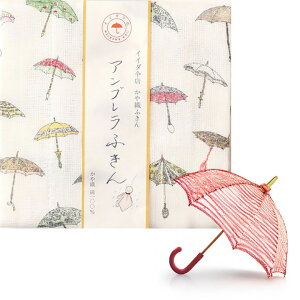 쐭X Dӂ CC_PX R{ { Mtg 蕨