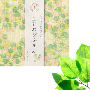 쐭X Dӂ CC_PX R{ { Mtg 蕨