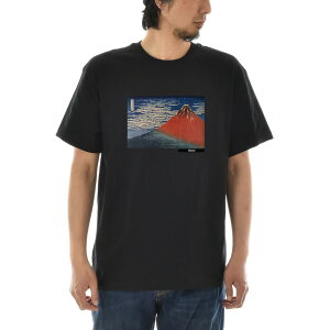 y A[gTVczk TVc M ԕxm G Ct CY A[g  V[gX[u SS S/S Y fB[X 傫TCY rbNTCY  G  eB[