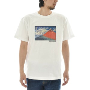 y A[gTVczk TVc M ԕxm G Ct CY A[g  V[gX[u SS S/S Y fB[X 傫TCY rbNTCY  G  eB[