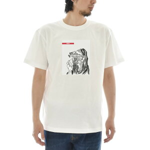 y A[gTVczk TVc DARUMA  _} B G Ct CY A[g  V[gX[u SS S/S Y fB[X 傫TCY rbNTCY  G 