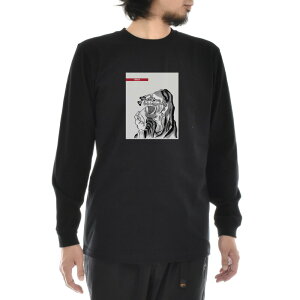 y A[gTVczk TVc DARUMA  _} B G Ct CY A[g  OX[u T Y fB[X 傫TCY rbNTCY  G  