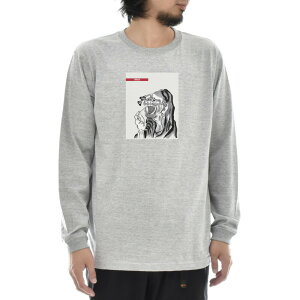 y A[gTVczk TVc DARUMA  _} B G Ct CY A[g  OX[u T Y fB[X 傫TCY rbNTCY  G  