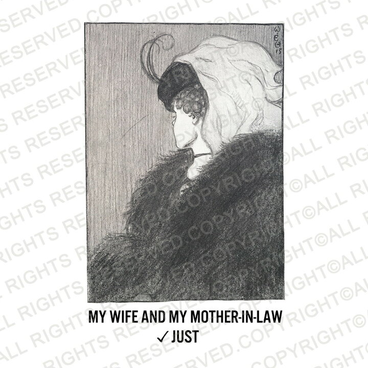 楽天市場 隠し絵 Tシャツ ジャスト Wife And Mother 半袖tシャツ メンズ レディース 大きいサイズ おしゃれ ティーシャツ ダブルイメージ さがし絵 トリックアート 芸術 柄 プリントtシャツ ホワイト デザインライブ オリジナル 楽天市場 隠し絵 Tシャツ ジャスト Wife And Mother 半袖tシャツ メンズ レディース 大きいサイズ おしゃれ ティーシャツ ダブルイメージ さがし絵 トリックアート 芸術 柄 プリントtシャツ ホワイト デザインライブ オリジナル