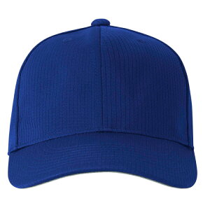 DESCENTE fTg AJLbv u[ 61 DB5SCP00M BL00 | X|[c X|[cEFA 싅 \tg{[ Lbv AJLbv x[X{[Lbv CAP Xq 싅ObY 싅p 