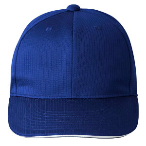 DESCENTE デサント アメリカンキャップ ブルー L DB5SCP01M BL00 | スポーツ スポーツウェア 野球 ソフトボール キャップ アメリカンキャップ ベースボールキャップ CAP 帽子 野球グッズ 野球用具 野