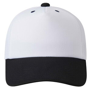 DESCENTE fTg tgplLbv zCgxubN L DB5SCP02M WHBK | X|[c X|[cEFA 싅 \tg{[ Lbv AJLbv x[X{[Lbv CAP Xq 싅O