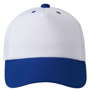 DESCENTE fTg tgplLbv zCgxu[ S DB5SCP02M WHBL | X|[c X|[cEFA 싅 \tg{[ Lbv AJLbv x[X{[Lbv CAP Xq 싅Ob