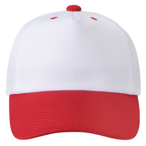 DESCENTE fTg tgplLbv zCgxbh L DB5SCP02M WHRD | X|[c X|[cEFA 싅 \tg{[ Lbv AJLbv x[X{[Lbv CAP Xq 싅Ob