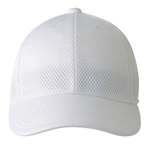 DESCENTE fTg bVLbv zCg S DB5SCP03M WH00 | X|[c X|[cEFA 싅 \tg{[ Lbv AJLbv x[X{[Lbv CAP Xq 싅ObY 싅p 