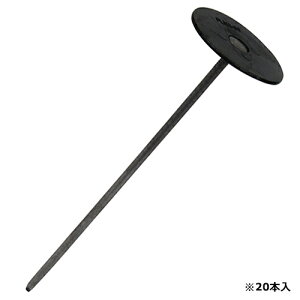 ZteB[3 hV[gpB[20CM 20P