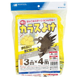 {}^C \̃JX悯 3MX4M
