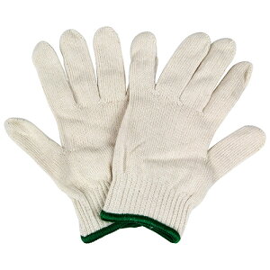 �q���p�R�� JK�[60�[M