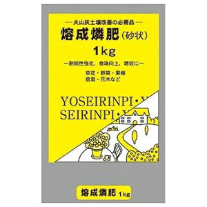 GS �o���Ӕ� 1KG