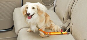 HONDA z_ NWGN N-WGN GkS z_ ybgԊOяoh~[h MTCYiE^pj 2015.10`f