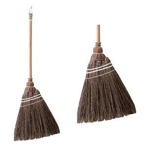 |bVrO u[ BN 11716 | ق  ʔ zEL |ObY | 킢  Broom u[   q VRf  IV i` uE G fUC