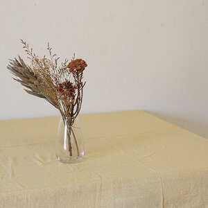 |bVrO }`Jo[ WW[ 51081 | ` k \t@[  uPbgz n xbhJo[ O JE` e[uNX J[ybg 킢 }`NX \t