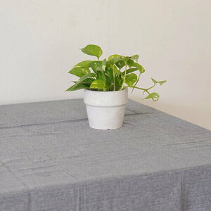 |bVrO }`Jo[ fj 52892 | ` k \t@[  uPbgz n xbhJo[ O JE` e[uNX J[ybg 킢 }`NX \t@J