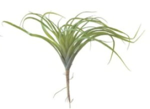 GA[vc LL PVC C[ L26cm |   t[AWg CeA CeAG G  A[gt[ ϗtA AW  K[f  rO DIY AW