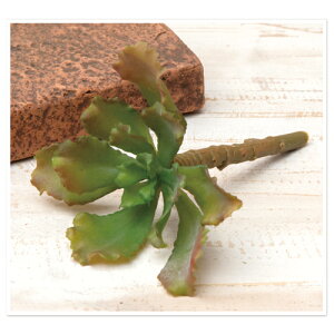 GPxA PVC C[ L14cm |  A[gt[ tFCN O[ ϗtA 񂹐A  AeB[N fBXvC CeA k   rO K[f j X AWA