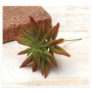 O[j[ PVC C[ L14cm |  A[gt[ tFCN O[ ϗtA 񂹐A  AeB[N fBXvC CeA k   rO K[f j X AWA