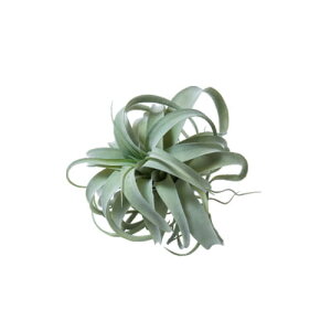 |bVrO LZOtBJ M 80912 | GA[vc CeA O[  lC ݂艺 nMO  fBXvC Mtg AWg 