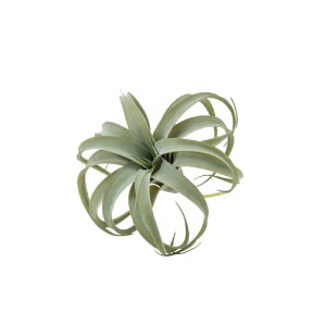 |bVrO LZOtBJ S 80946 | nMOGA[vc GA[vc GA[vc CeA O[  lC ݂艺 nMO  fBXvC Mtg A