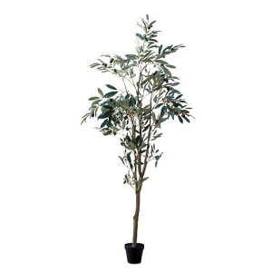 |bVrO I[uc[ 80954 | ϗtA CeA O[  lC nMO  fBXvC Mtg AWg 