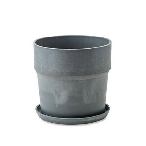 |bVrO A[ovc|bg ZT~ 81036 | 6 Aؔ A؃|bg v^[Jo[ t[|bg   ϗtA A T{e ꌊL 󂯎Mt }[u Ce