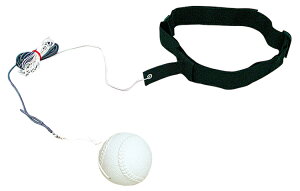 SAKURAI TNCf sb`OEtB[fCOg[i[ CH-11N21 | X|[c ^ X|[cpi g[jO 싅 x[X{[ \tg{[ Kp sb`OK g[jOp