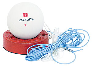 SAKURAI TNCf \tgejXg[i[ TT-21 | X|[c ^ X|[cpi g[jO ejXpi ejX \tgejX ejX{[ Ho ˕Ԃ {[ K Z g[j