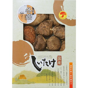 Y؊őǂ 125g OD-30 | 25-0459-044 v[g 蕨  ip j  Ԃ A   o  ő 啪Y Y ؍͔|  O Hi Hi 