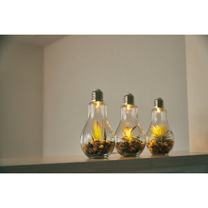 d^CeACg eE B EF-RL02B | 0310025 d^CeACg eE e[uCg dC ԐڏƖ  Ɩ IuWF Cg [Cg o k CeA 