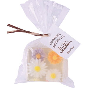 v`BB\[v }[Kbg PL03 | 24-0043-103{fBPA nhPA e  Ό ΂ t[\[v ~j WX~ gsJ   v`Mtg j  Cx