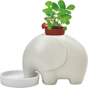 エレプラント栽培セット ワイルドストロベリー GD-95502 | 24-0290-195園芸 ガーデニング 植物 育てる ポット 鉢 栽培 グリーン 人気 プレゼント 贈り物 イベント 家庭菜園 部屋 室内 屋内 屋外 ス