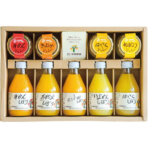 ɓ_ 100sAW[XWZbg V-113-1 | 24-0479-042W[X t[cW[X k ʏ`100 Z rW[X ϔ MtgZbg xXgZ[ v[g 蕨  j 