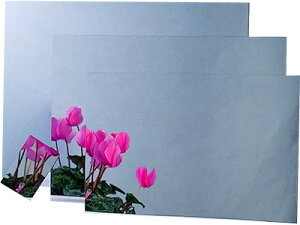 MhY XeXʃ~[ ST-10 | ʃ~[  XeX y ɂ S ^ }Olbg ʐڒ Vv tȒP t ϐNH ǖ ~[   S~