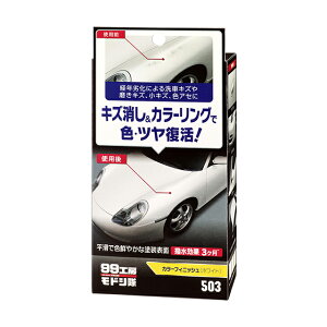\tg99 SOFT99 99 99H[hV J[tBjbV zCg B-503 09503 | 99H[  ԗpi LY bNX R[eBO C P~J {fB RpEh  F    