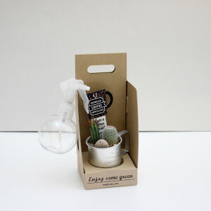SPICE XpCX Xv[t CAFE MUG SABOTEN 8979-BOX 12 | K[f A T{e  Mtg T{eZbg Ԃ 킢 ~` Xv[ }VF {bNXZbg