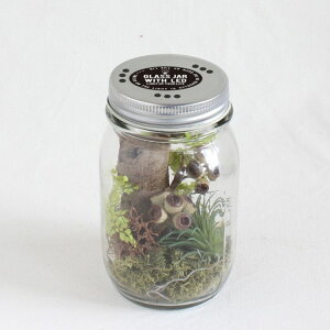 SPICE XpCX SPICE OF LIFE LEDKXW[ AW WO LTCY HAT2016L | K[f A hCA  GAvc